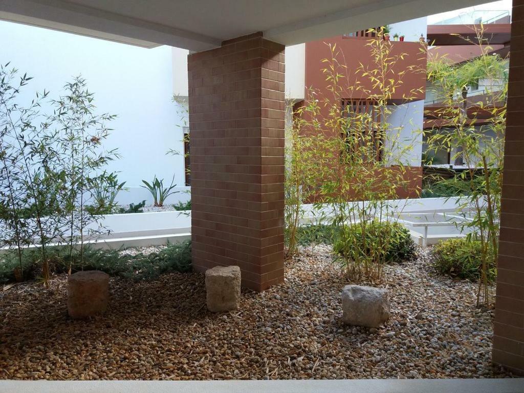 Terracos Do Rio Apartment ปอร์ติเมา ภายนอก รูปภาพ